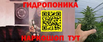 сатива Бузулук