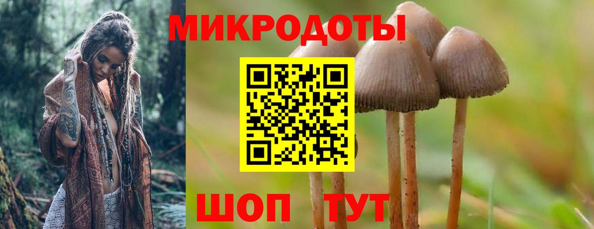 Галлюциногенные грибы мицелий Приморско-Ахтарск